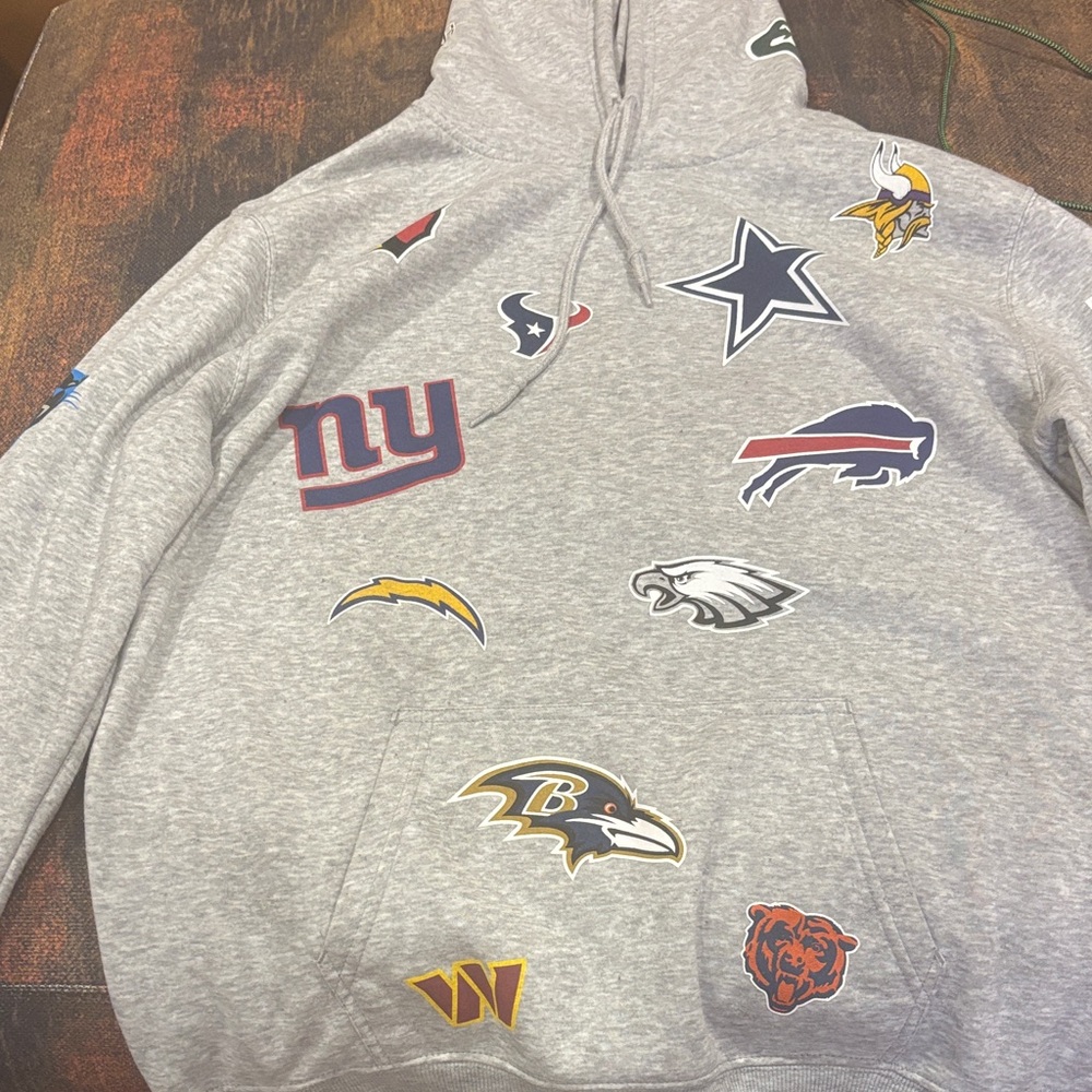 Men's Gray NFL Team Logo Hoodie